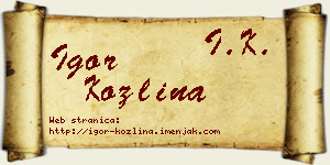 Igor Kozlina vizit kartica
